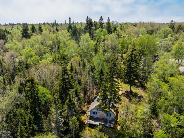 734 Duck Cove Rd, Roque Bluffs, ME 04654 - view of subject property with a forest