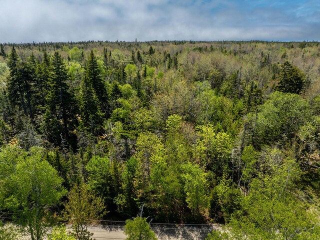 734 Duck Cove Rd, Roque Bluffs, ME 04654 - view of wooded area