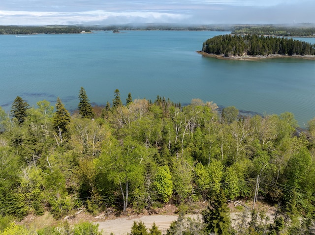 734 Duck Cove Rd, Roque Bluffs, ME 04654 - water view