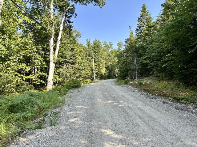 734 Duck Cove Rd, Roque Bluffs, ME 04654 - view of dirt / gravel road with a view of trees