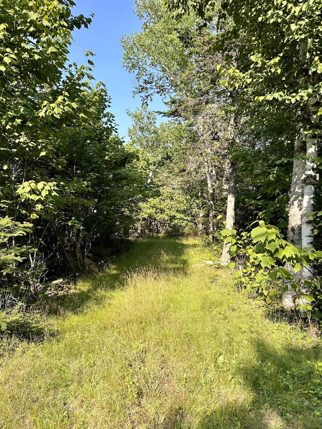 734 Duck Cove Rd, Roque Bluffs, ME 04654 - view of yard