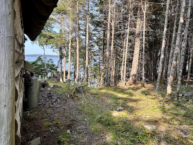 734 Duck Cove Rd, Roque Bluffs, ME 04654 - view of yard featuring a water view