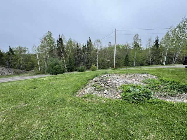 135 W Conroy Lake Rd, Monticello, ME 04760 - view of grassy yard with a view of trees