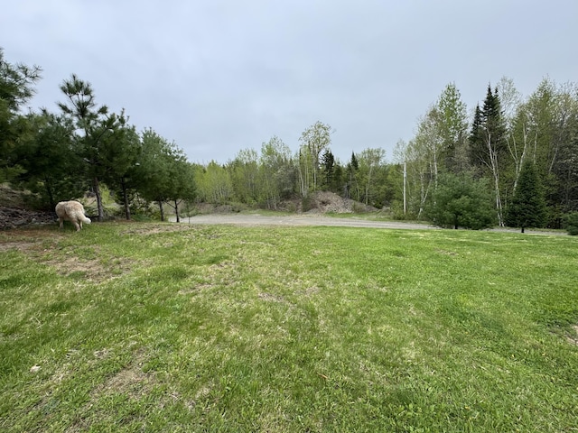 135 W Conroy Lake Rd, Monticello, ME 04760 - view of green lawn featuring a forest view