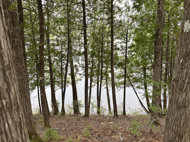 135 W Conroy Lake Rd, Monticello, ME 04760 - water view