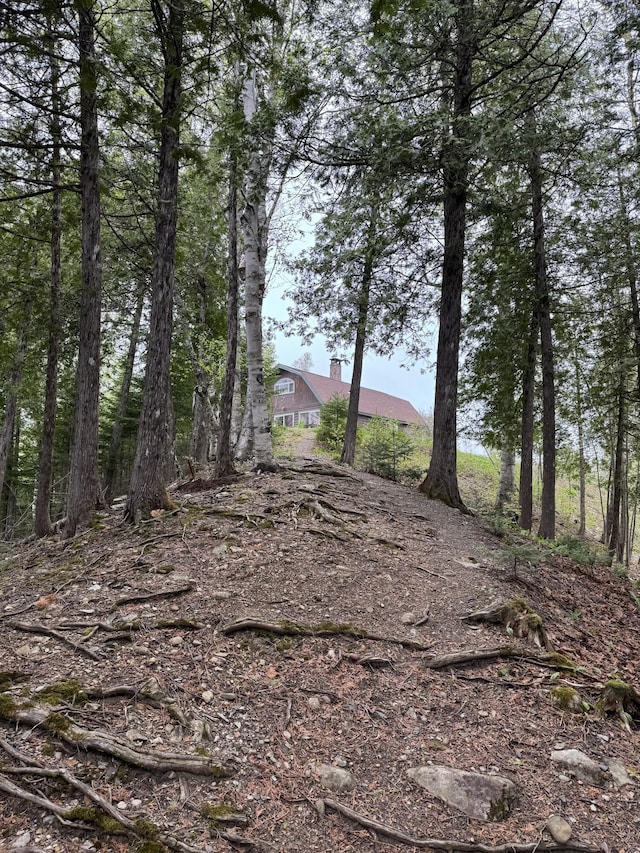 135 W Conroy Lake Rd, Monticello, ME 04760 - view of local wilderness