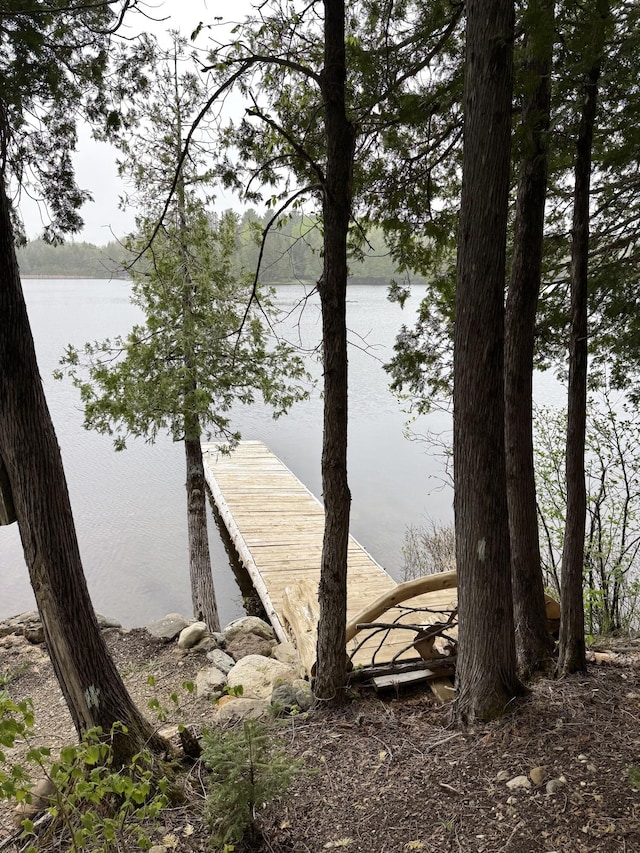 135 W Conroy Lake Rd, Monticello, ME 04760 - dock featuring a water view