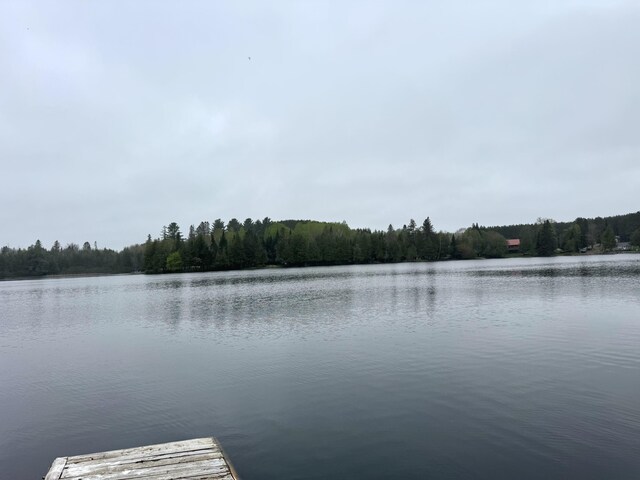 135 W Conroy Lake Rd, Monticello, ME 04760 - dock with a water view and a view of trees