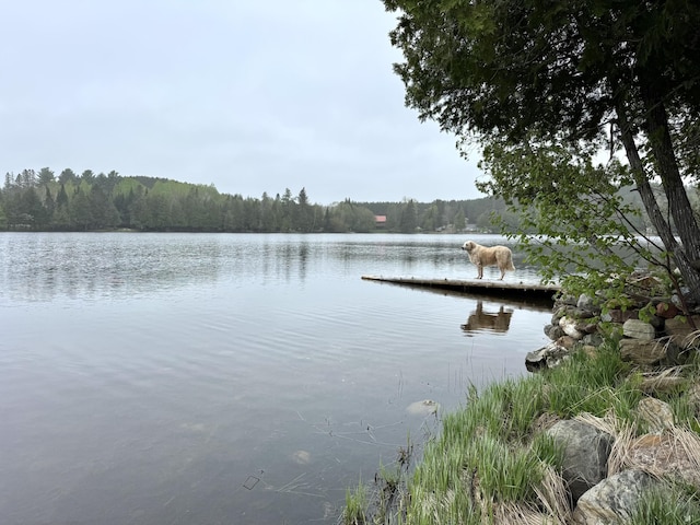 135 W Conroy Lake Rd, Monticello, ME 04760 - water view with a heavily wooded area