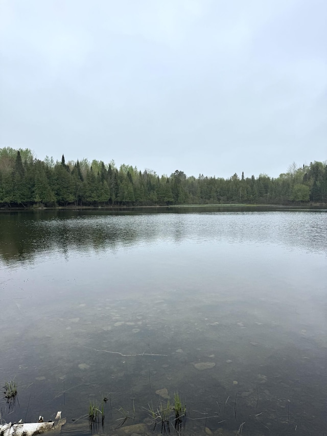 135 W Conroy Lake Rd, Monticello, ME 04760 - water view with a heavily wooded area