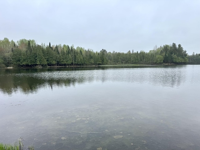 135 W Conroy Lake Rd, Monticello, ME 04760 - water view with a forest