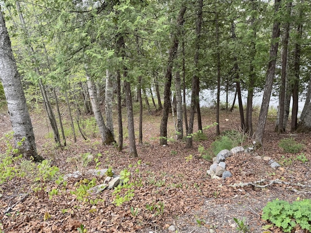135 W Conroy Lake Rd, Monticello, ME 04760 - view of woods