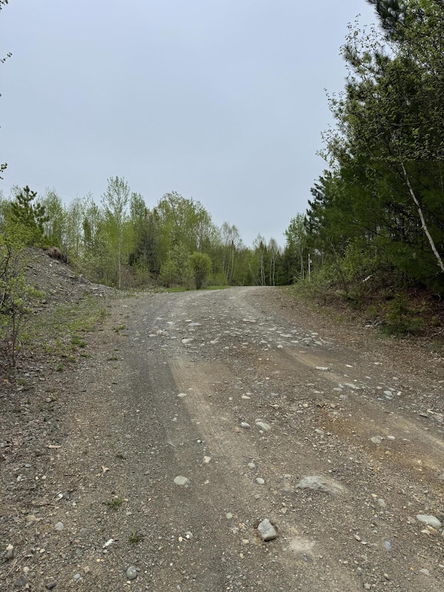 135 W Conroy Lake Rd, Monticello, ME 04760 - view of dirt / gravel road with a wooded view