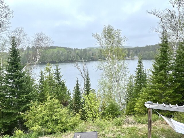 135 W Conroy Lake Rd, Monticello, ME 04760 - water view featuring a forest