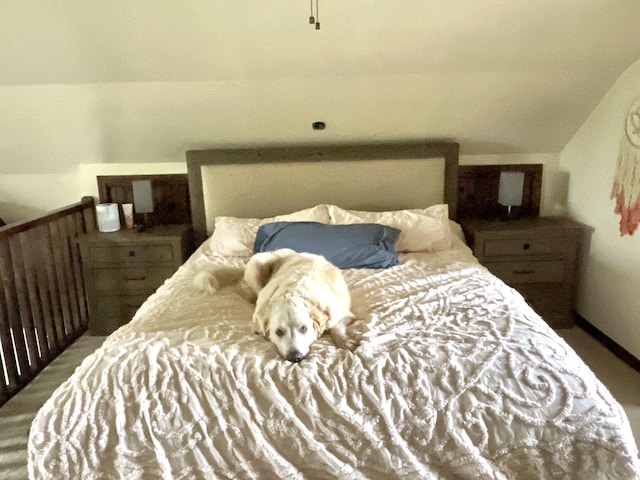 135 W Conroy Lake Rd, Monticello, ME 04760 - bedroom with vaulted ceiling