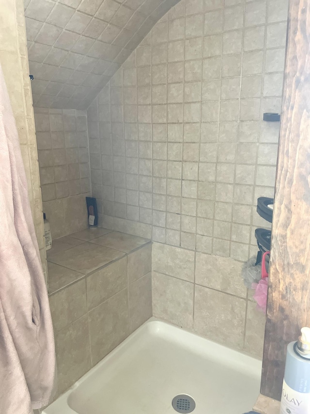135 W Conroy Lake Rd, Monticello, ME 04760 - full bathroom featuring lofted ceiling and a tile shower