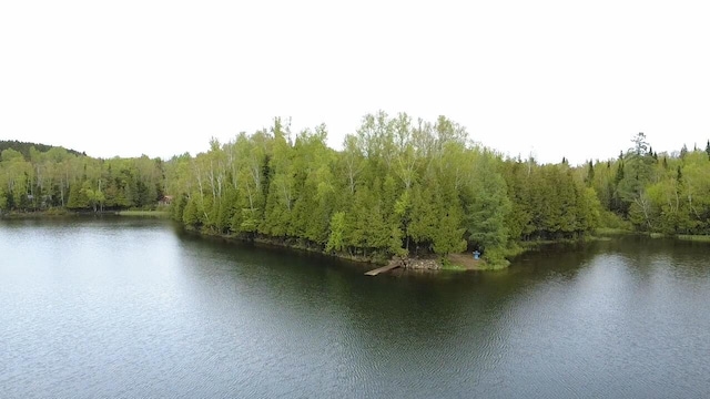 135 W Conroy Lake Rd, Monticello, ME 04760 - water view featuring a forest