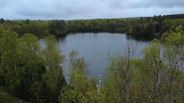 135 W Conroy Lake Rd, Monticello, ME 04760 - water view featuring a heavily wooded area