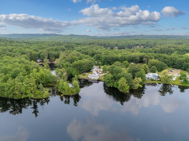 24 Emery Corner Rd, Limerick, ME 04048 - bird's eye view of a forest