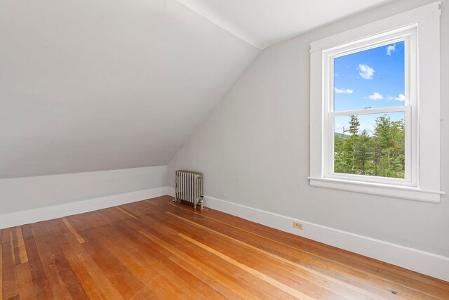 24 Emery Corner Rd, Limerick, ME 04048 - additional living space with radiator, vaulted ceiling, healthy amount of natural light, and hardwood / wood-style flooring