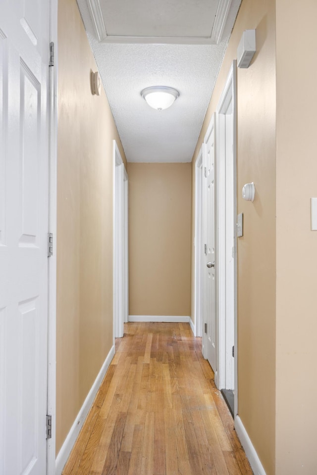20 Sunderland Dr, Auburn, ME 04210 - hall with light wood-style flooring, baseboards, and a textured ceiling