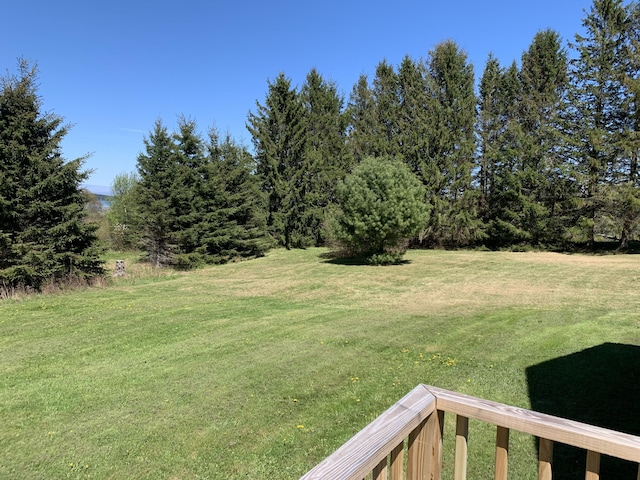 11 Brewster Rd, Eastport, ME 04631 - view of grassy yard