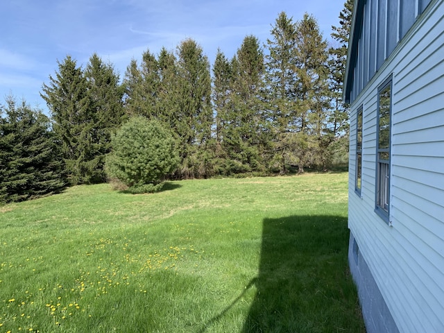 11 Brewster Rd, Eastport, ME 04631 - view of green lawn