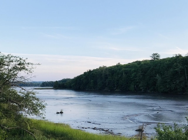 29 Fish Point Rd, Orland, ME 04472 - water view with a heavily wooded area