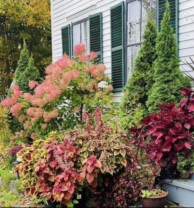 29 Fish Point Rd, Orland, ME 04472 - exterior view