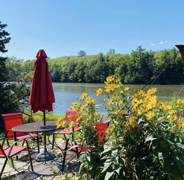 29 Fish Point Rd, Orland, ME 04472 - view of patio / terrace with a forest view and a water view