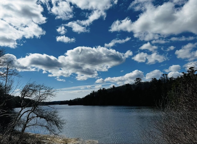 29 Fish Point Rd, Orland, ME 04472 - water view with a heavily wooded area