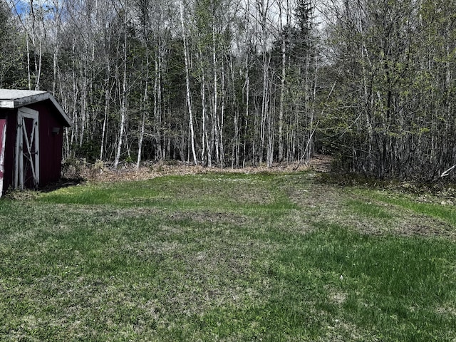 1596 Bald Mountain Rd, Orland, ME 04472 - view of grassy yard featuring a view of trees