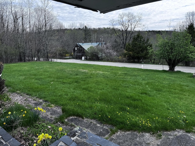 1596 Bald Mountain Rd, Orland, ME 04472 - view of grassy yard