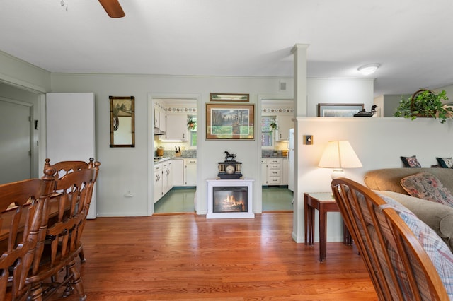 55 Woodland St, Fryeburg, ME 04037 - living room with light wood-style floors and a ceiling fan