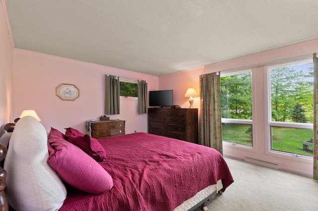55 Woodland St, Fryeburg, ME 04037 - bedroom with carpet flooring and a baseboard heating unit