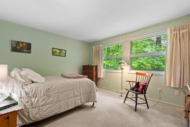 55 Woodland St, Fryeburg, ME 04037 - carpeted bedroom with baseboards