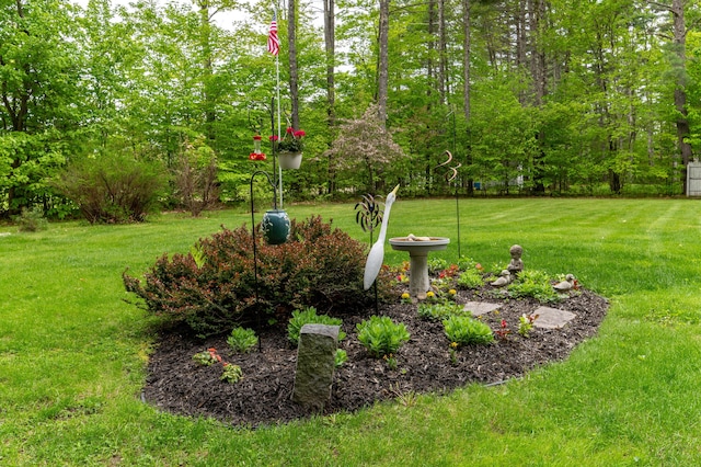 55 Woodland St, Fryeburg, ME 04037 - view of grassy yard