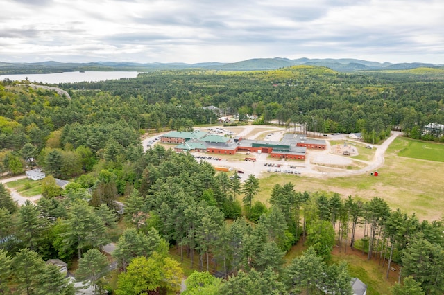 55 Woodland St, Fryeburg, ME 04037 - aerial overview of property's location featuring a heavily wooded area and a water and mountain view