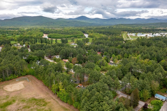 55 Woodland St, Fryeburg, ME 04037 - aerial view of property's location with a forest and a mountainous background