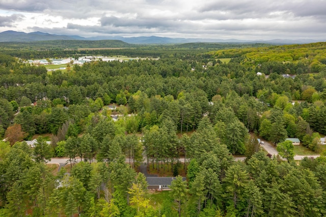 55 Woodland St, Fryeburg, ME 04037 - drone / aerial view of a heavily wooded area and a mountainous background
