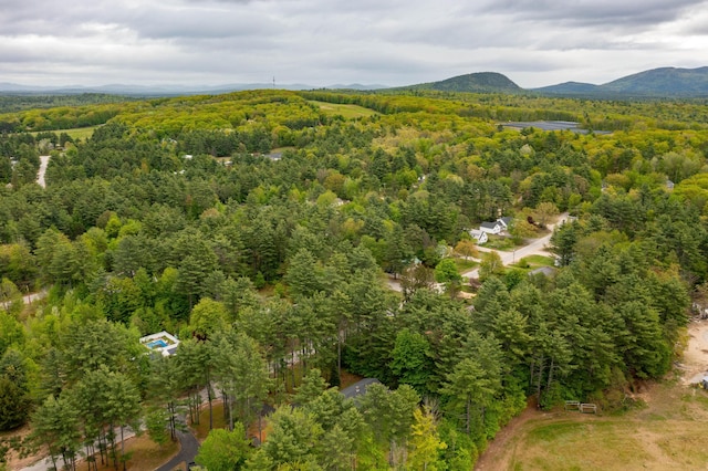 55 Woodland St, Fryeburg, ME 04037 - drone / aerial view of a forest and mountains