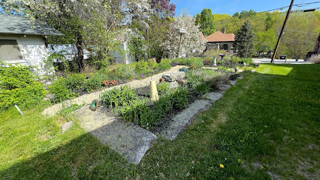 43 Main St, Harrison, ME 04040 - view of green lawn
