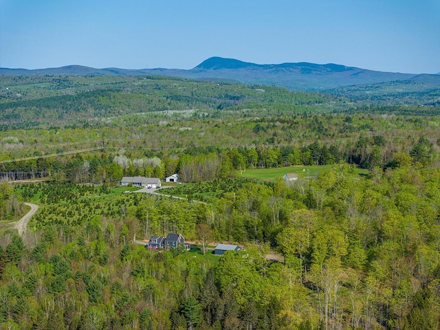 264 Seamon Rd, Farmington, ME 04938 - photo 49