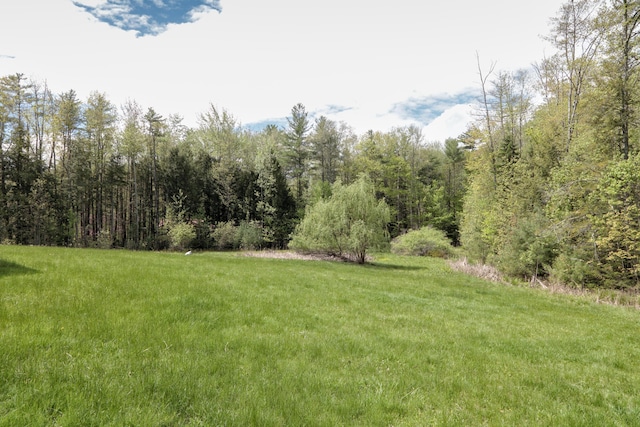 359 Beech Plains Rd, Buxton, ME 04093 - view of grassy yard