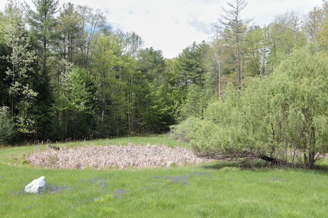 359 Beech Plains Rd, Buxton, ME 04093 - view of yard with a forest view