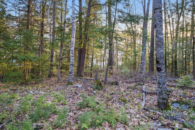 1 Cottage Shore Dr, Holden, ME 04429 - photo 6