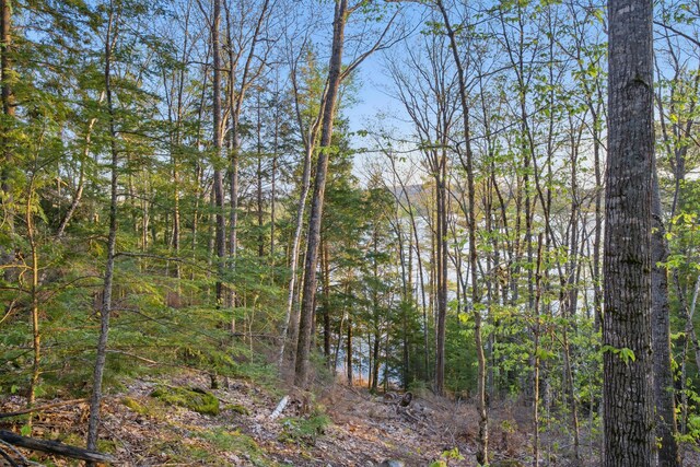 1 Cottage Shore Dr, Holden, ME 04429 - photo 10