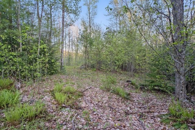 1 Cottage Shore Dr, Holden, ME 04429 - photo 13