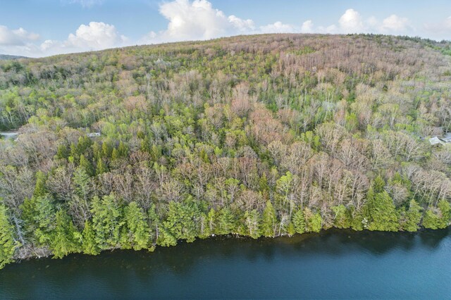 1 Cottage Shore Dr, Holden, ME 04429 - photo 22