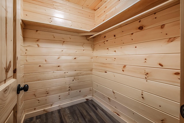 spacious closet featuring dark wood finished floors